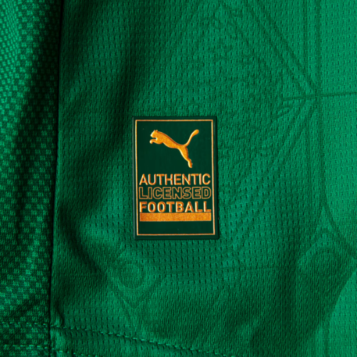 Camisa Palmeiras 2025/26 "Vitor Roque 9" Home