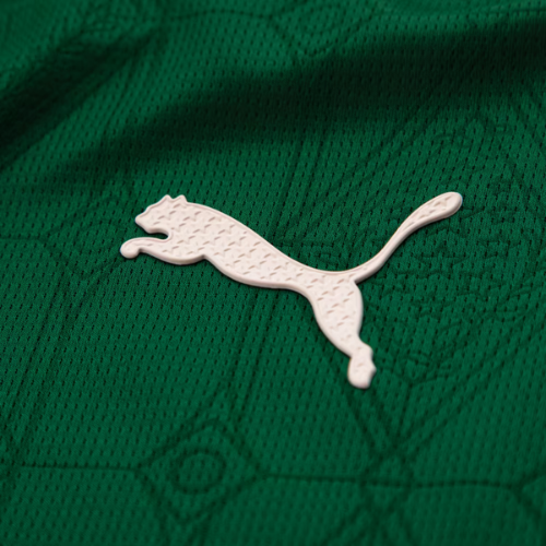 Camisa Palmeiras 2025/26 "Vitor Roque 9" Home