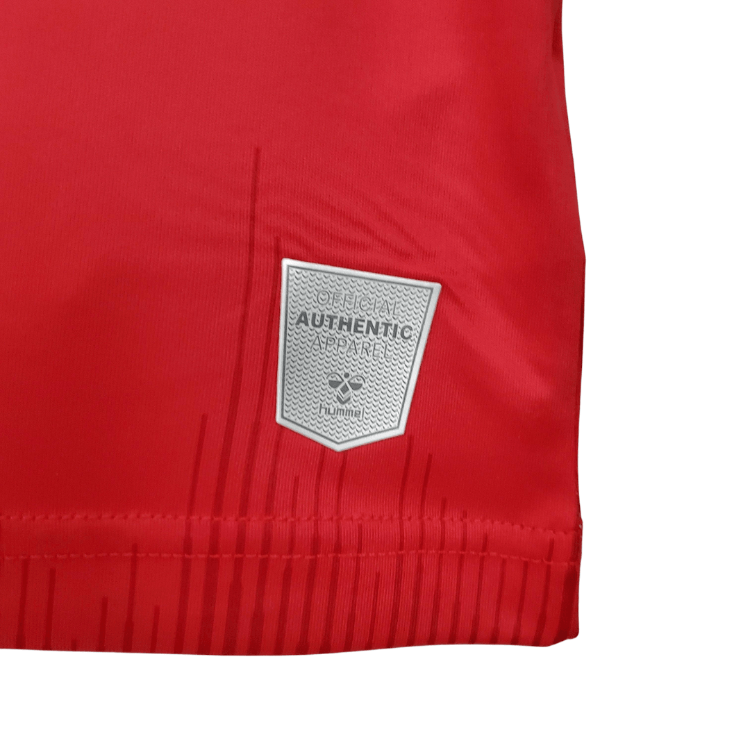 Camisa Seleção Dinamarca 2020/21 Home