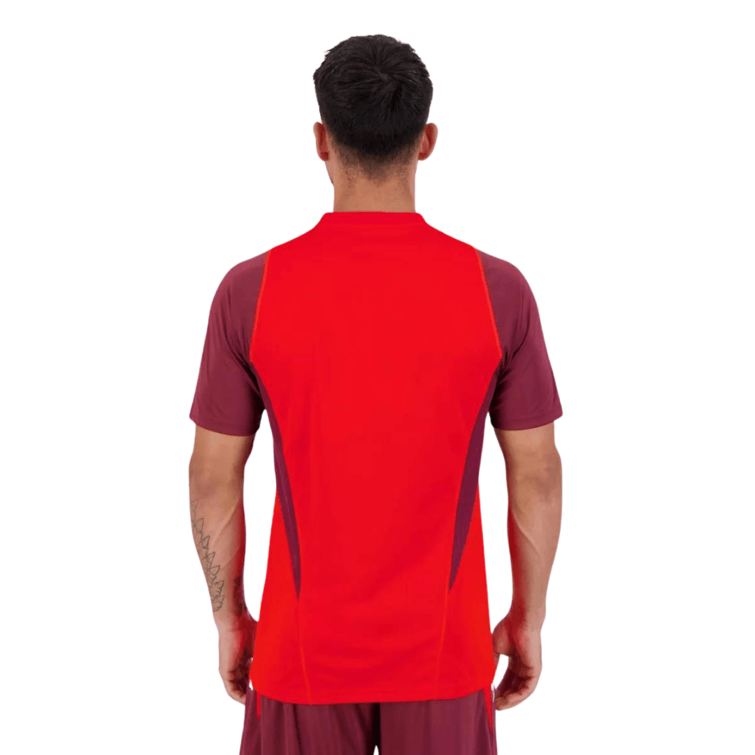 Camisa Internacional 2024/25 Treino